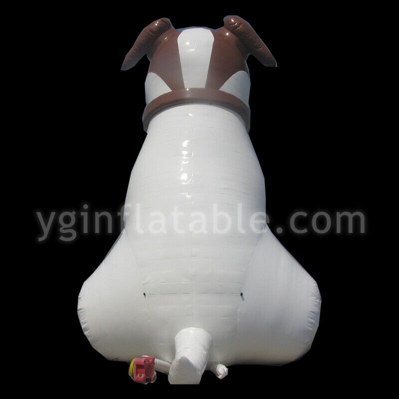 inflatableGC094