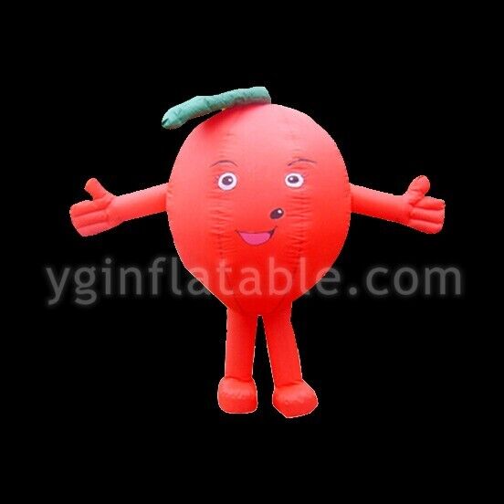 GC040inflatable ball inflatable ballGC040