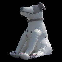 inflatable inflatable